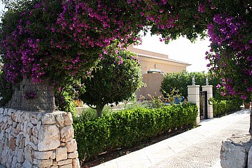 Ferienhaus in Sa Ràpita - Eingangsbereich zu Haus Olivo, Lavanda und Granada