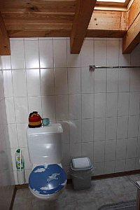 Ferienwohnung in Innertkirchen - Dusche WC