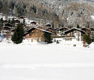 Ferienhaus in Fiesch - Lage