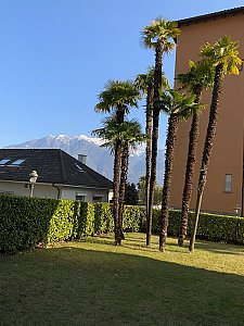 Ferienwohnung in Locarno-Muralto - Sicht Balkon Ost