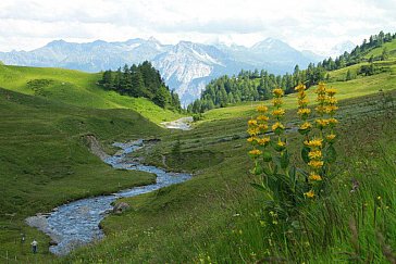 Ferienwohnung in Crans-Montana - Die wunderschöne Walliser Bergwelt