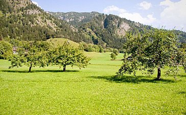 Ferienwohnung in Bad Oberdorf - Aussicht