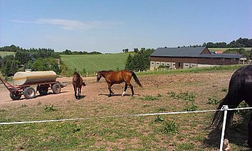 Ferienwohnung in Obernaundorf-Rabenau - Bild12