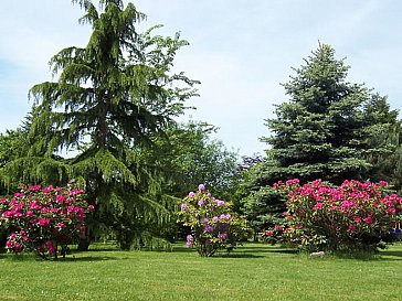 Ferienwohnung in Oberscheidweiler - Gartenblick