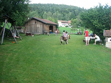 Ferienwohnung in Geiersthal - Ferien auf dem Bauernhof