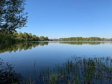 Ferienhaus in Haselünne - Haselünner See