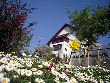 Ferienwohnung in Struppen - Frühlingserwachen in Struppen