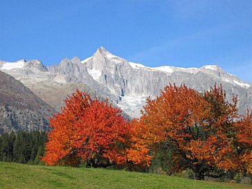 Ferienhaus in Fiesch - Herbstfarben