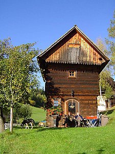 Ferienhaus in Murau - Bild1
