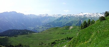 Ferienwohnung in Flumserberg-Tannenheim - Wandern