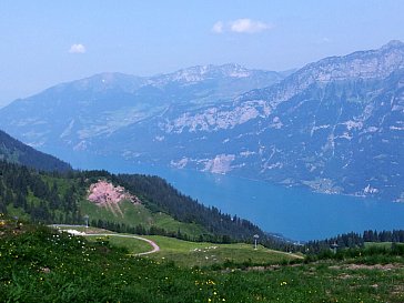 Ferienwohnung in Flumserberg-Tannenheim - Flumserberg wandern