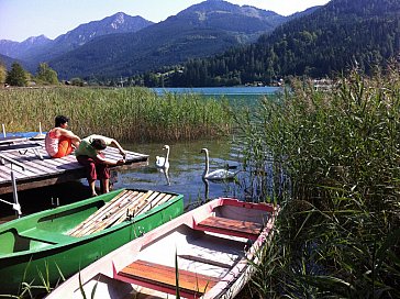 Ferienwohnung in Techendorf-Neusach - Am Ufer des Weissensee