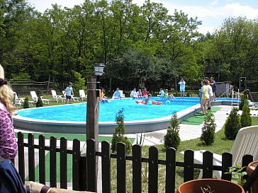 Ferienhaus in Kiskunhalas - Unser Pool