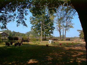 Ferienhaus in Kiskunhalas - Blick über den Hof