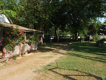 Ferienhaus in Kiskunhalas - Zugang zum Pool und Sommerrestaurant