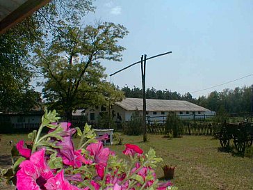 Ferienhaus in Kiskunhalas - Blick auf den Pferdestall