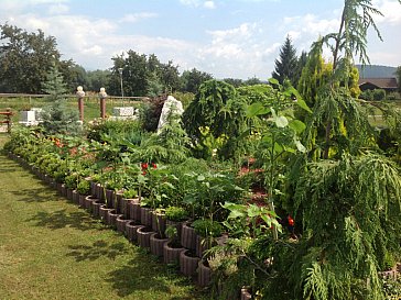 Ferienwohnung in Faak am See - Garten