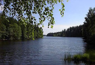 Ferienhaus in Vissefjärda - Natur der Umgebung