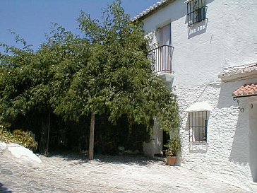 Ferienhaus in Macharaviaya - Im Sommer ist alles bewachsen und schön schattig