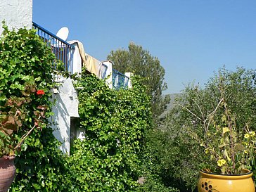 Ferienhaus in Macharaviaya - Blick vom Garten zur Terrasse