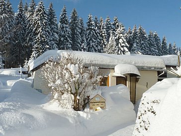 Ferienwohnung in Morgenröthe-Rautenkranz - Ferienhaus Espig im Winter