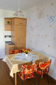 Ferienwohnung in Morgenröthe-Rautenkranz - Rechte Seite der Küche mit Kühlschrank