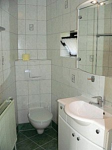 Ferienwohnung in Morgenröthe-Rautenkranz - Dusche/WC