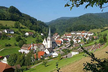 Ferienwohnung in Bad Peterstal-Griesbach - Bad Peterstal-Griesbach