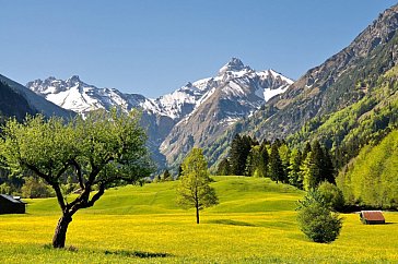 Ferienwohnung in Oberstdorf - Ausblick