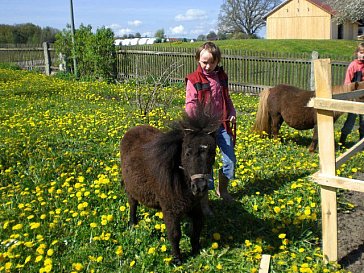 Ferienwohnung in Schmidgaden - Frühling auf der Vierbruckmühle