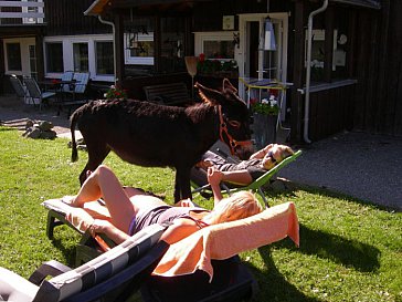 Ferienwohnung in Korbach-Hillershausen - Entspannung