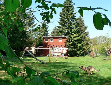 Ferienhaus in Zwenzow - Urlaub mit Hund in Ihrem Ferienhaus am See