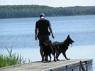 Ferienhaus in Zwenzow - Urlaub mit dem Hund