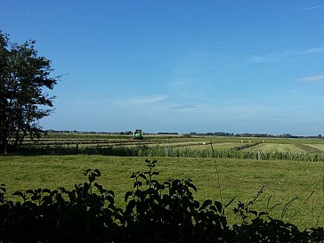 Ferienwohnung in St. Peter-Ording - Ausblick