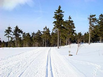 Ferienwohnung in Oberwiesenthal - Bild14