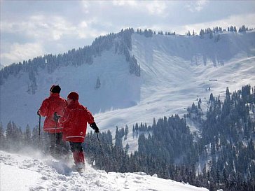 Ferienwohnung in Balderschwang - Schneeschuhtouren