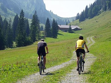 Ferienwohnung in Balderschwang - Tolles Mountainbikegebiet