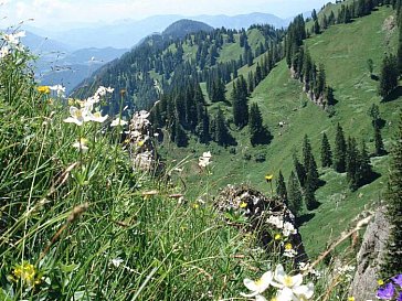 Ferienwohnung in Balderschwang - Herrliche Aussichten und einsame Wege