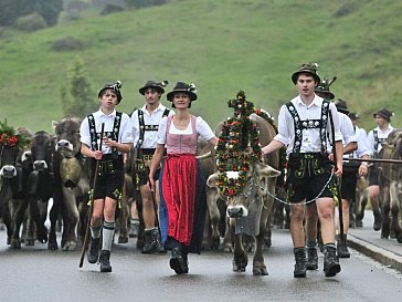 Ferienwohnung in Balderschwang - Viehscheid 2013