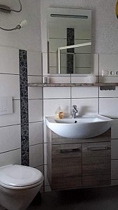 Ferienhaus in Sebnitz - Dusche mit WC