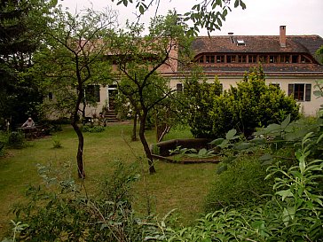 Ferienwohnung in Dresden - Garten