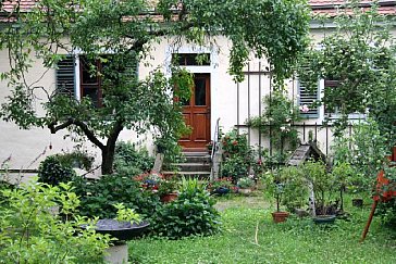Ferienwohnung in Dresden - Hauseingang vom Garten aus