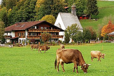 Ferienwohnung in Oberstdorf - Landhaus Bickel im Sommer