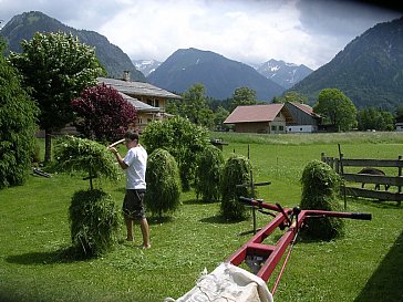 Ferienwohnung in Oberstdorf - Heuernte