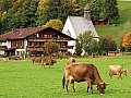 Ferienwohnung in Oberstdorf - Bayern