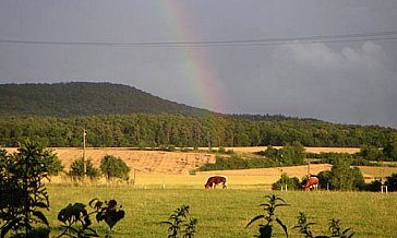 Ferienwohnung in Hofheim in Unterfranken - Regenbogen