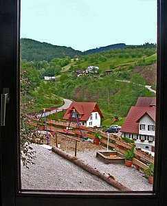 Ferienhaus in Oppenau - Blick in Umgebung