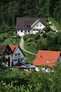 Ferienhaus in Oppenau - Blick aus Umgebung