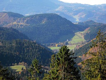 Ferienhaus in Oppenau - Wir leben mitten im Schwarzwald