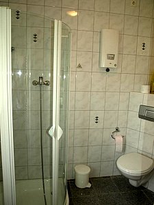 Ferienhaus in Dargun - Badezimmer mit Dusche und WC